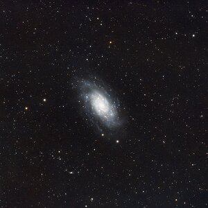 NGC 2403