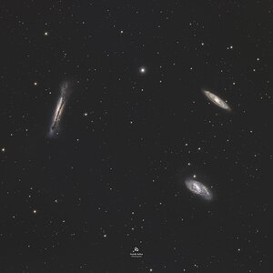 Das Leo Triplet