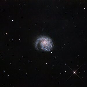 M99_QHY294M_LRGB_TSRC1264_SQ_45x30_240326.jpg