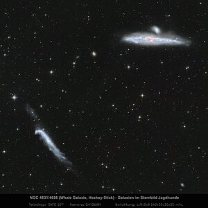 NGC 4631 und NGC 4656 - Walfisch und Hockeyschläger