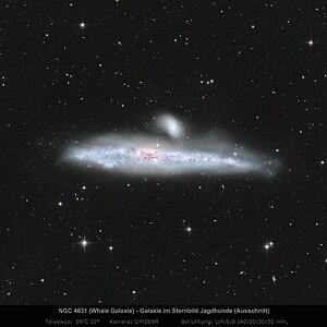 NGC4631 - Walfisch-Galaxie