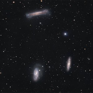 M 65 M66 NGC 2175.jpg