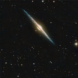 NGC 4565.jpg
