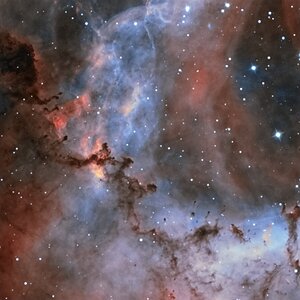 Teile vom NGC 2237.jpg