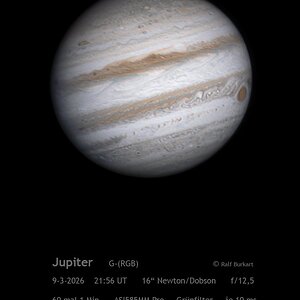 Jupiter im Grünen