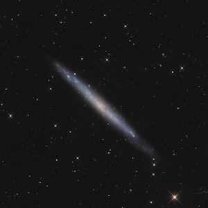 NGC 4244 – Silbernadel-Galaxie