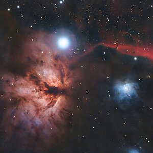 IC 434 Pferdekopfnebel Alnitak Flammennebel NGC2024