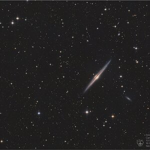 (Newton20) NGC 4565 Needle Galaxy ASI2600MC  v3.jpg