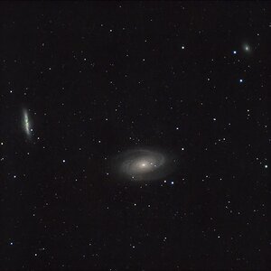 M 81
