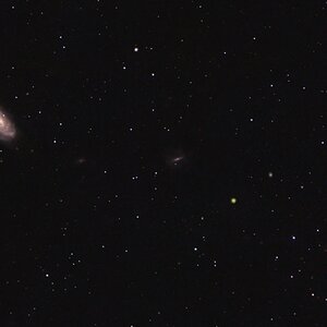 NGC3953, NGC3917 und weitere Galaxien