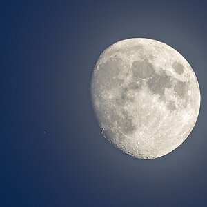 Mond bei Regulus am 29.3.26