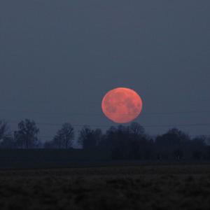 Vollmond-Untergang