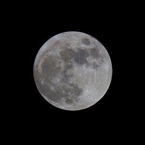 Ostervollmond