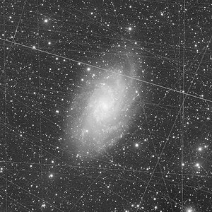 M33_im Spydernetz
