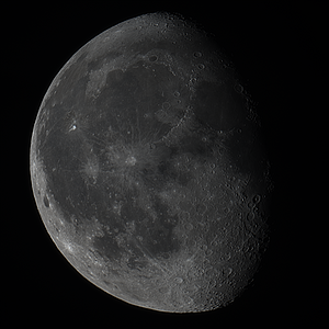 Mond