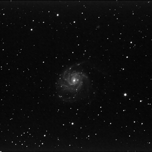 M101, NGC5477  und Nachbargalaxien