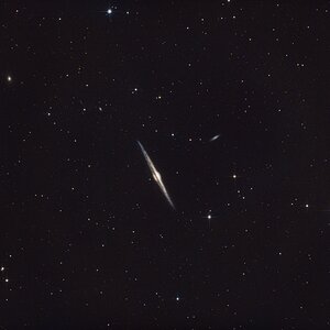 NGC 4565 Nadel Galaxie