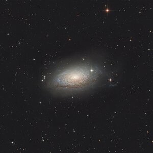 M63
