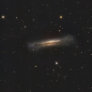 NGC3628_Hamburger_Galaxy_RC8_SvBony405cc_EQ6.jpg