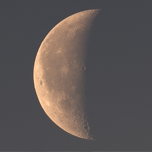 Mond