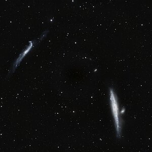 ngc4631.jpg