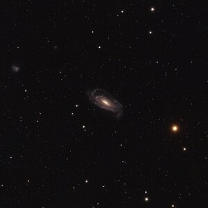 NGC 5033 - Waterbug Galaxy