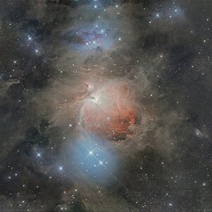 M42_web-1.jpg