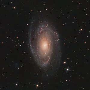 M 81 im Sternbild Großer Bär