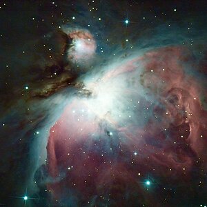 Orion Nebel