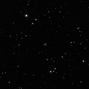 NGC4205 mit SN