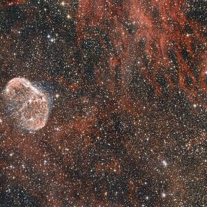 NGC 6888 Mondsichel-Nebel