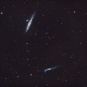 Wal Galaxie & Hockey Stick