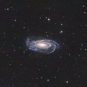 NGC5033_Quattro8s_ATR585M_10h.jpg