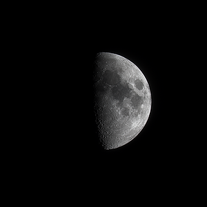 Mond