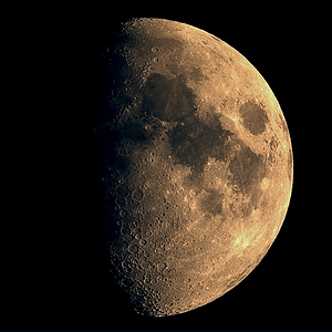 Mond