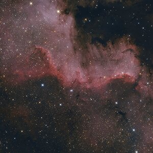 Nordamerika-Nebel (NGC 7000)