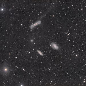 Das Leo Triplet