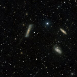 Leo Triplett