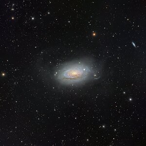 M63