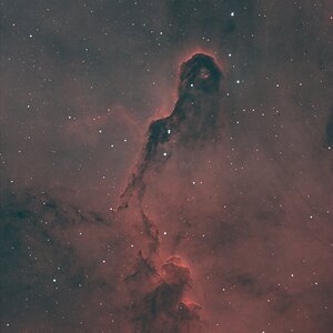 Elefantenrüssel-Nebel in H alpha