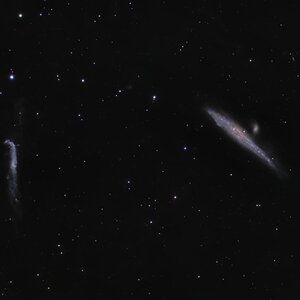 Walgalaxie und Hockeyschlägergalaxie