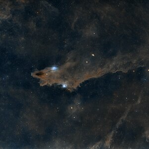 LDN 1235 - The Shark Nebula