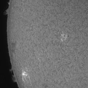 Sonne_Ha_1_300426.jpg