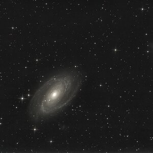 M81neu-1.jpg
