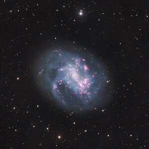 NGC 4395 – eine lichtschwache Spiralgalaxie voller H-Alpha Regionen