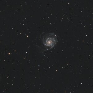 M101