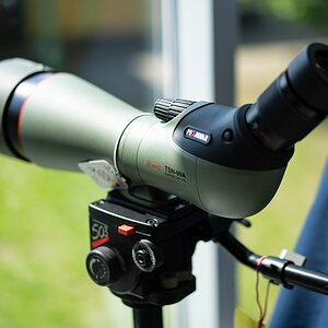Kowa TSN 99A.jpg
