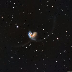 Antennen-Galaxien NGC 4038 & 4039