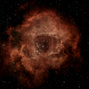 NGC 2244 - Rosettennebel