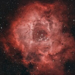 NGC2244